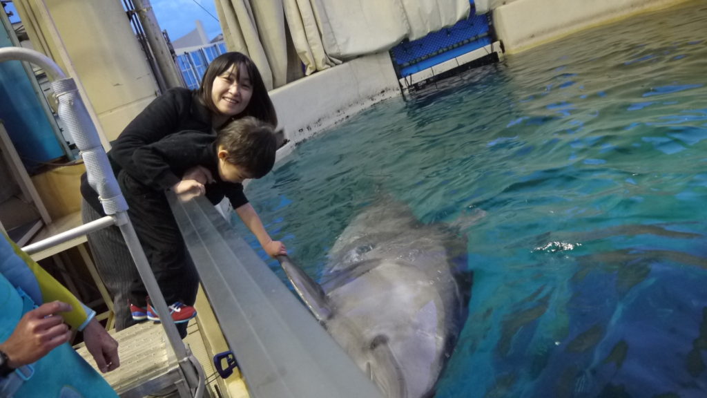 江ノ島水族館でイルカと握手